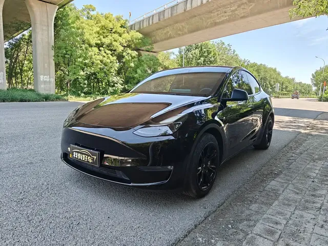 Tesla Model Y 2021 Standard Range Rear-Wheel Drive