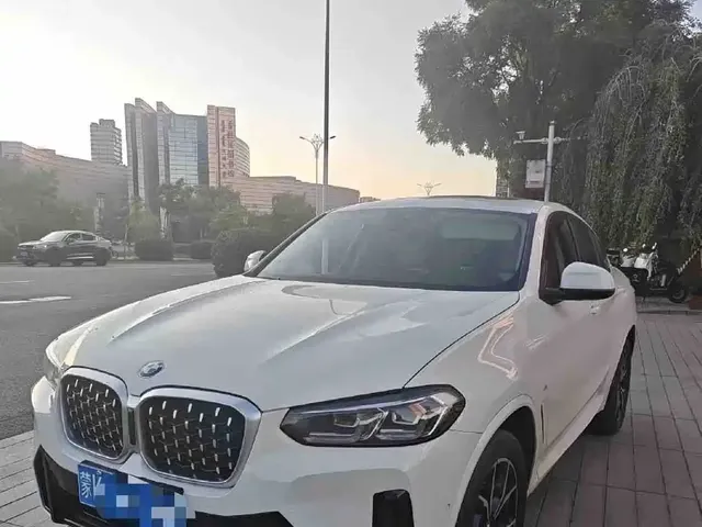 BMW X4 2022 xDrive 25i M Sport Package