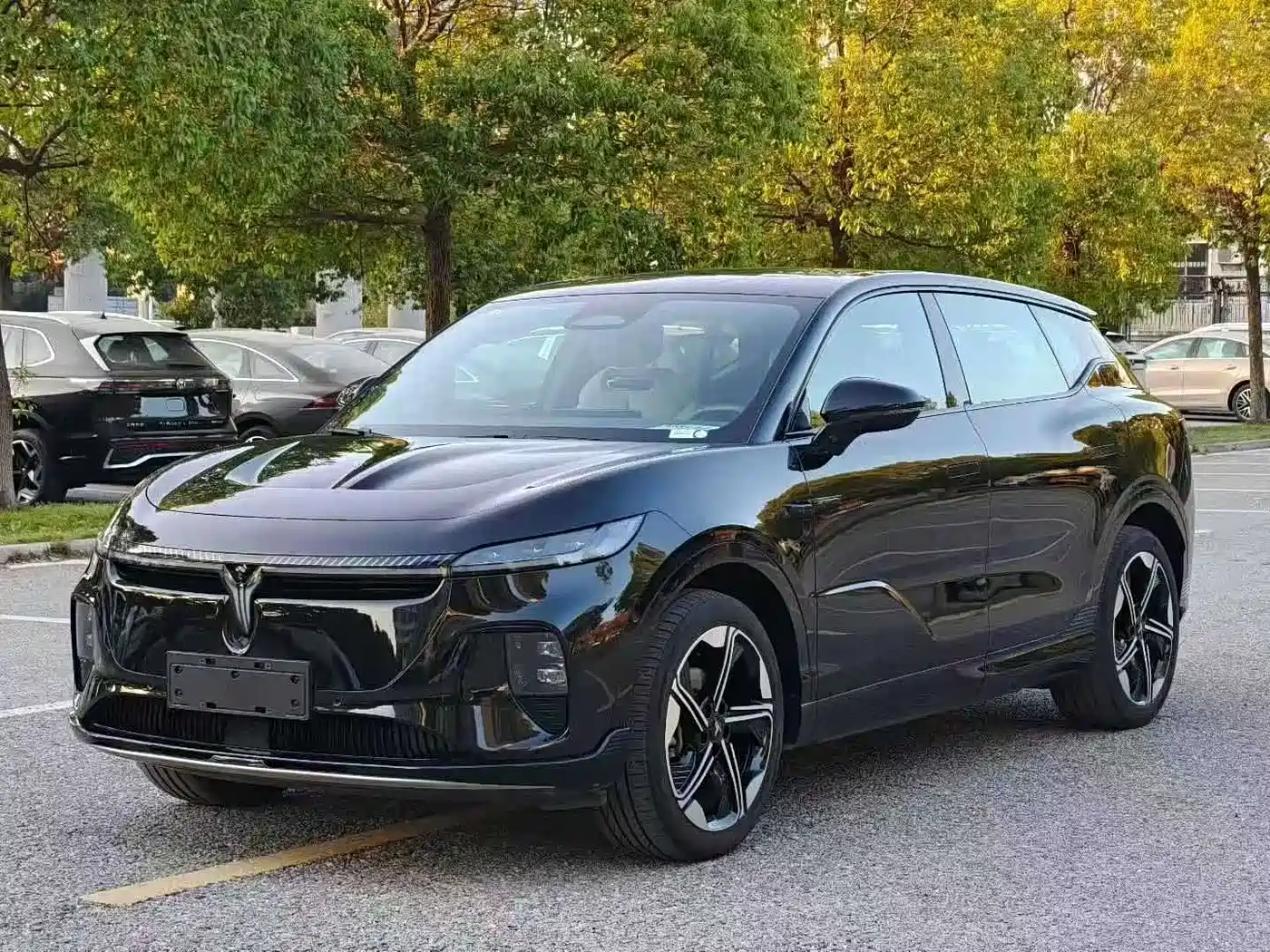 Voyah Auto Voyah Zhiyin 2024 Long Range Super Charging Edition