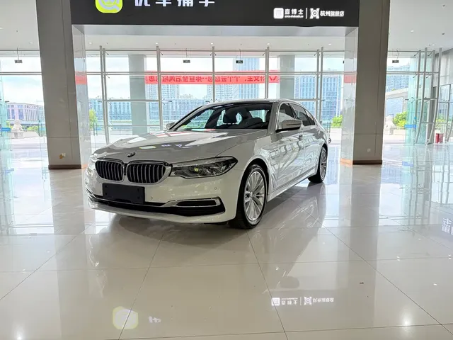 BMW 5 Series New Energy 2020 530Le Luxury Package