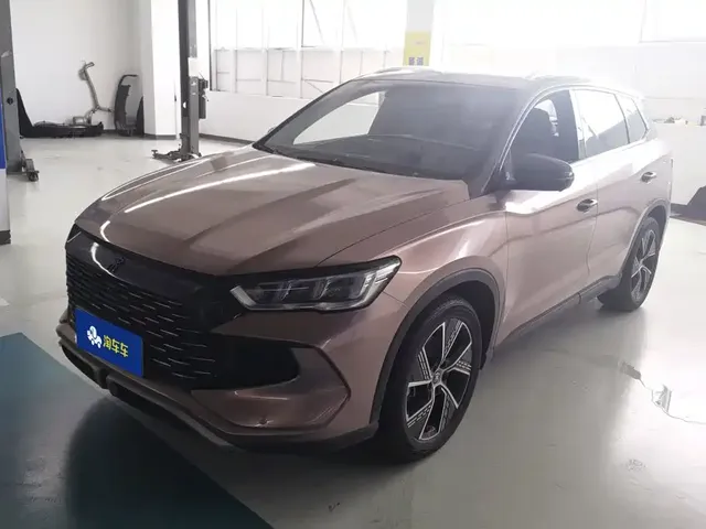 BYD Song Pro New Energy 2023 Champion Edition DM-i 110KM Excellence