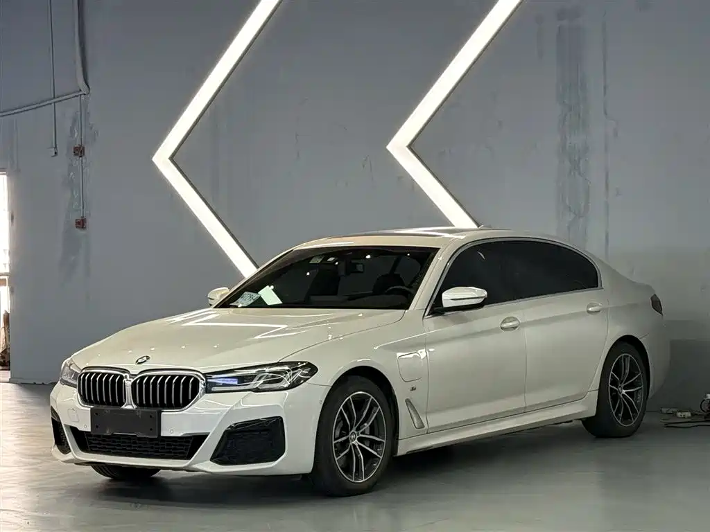 BMW 5 Series New Energy 2021 535Le M Sport Package