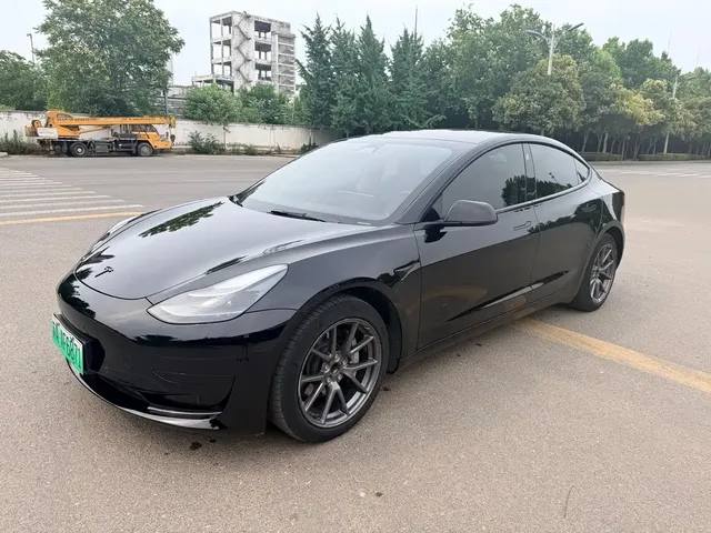 Tesla Model 3 2021 Facelift Standard Range RWD Upgrade 3D1
