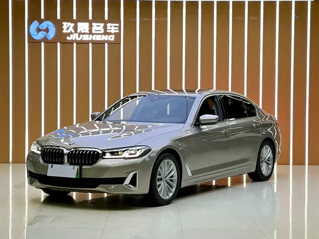 BMW 5 Series New Energy 2021 535Le Luxury Package