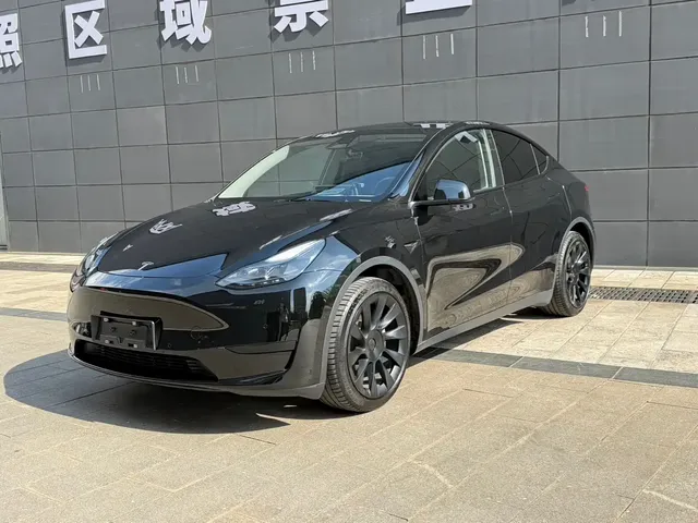 Tesla Model Y 2022 Rear-Wheel Drive Version