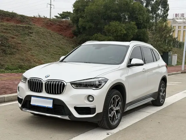 BMW X1 2019 xDrive20Li Premium Model
