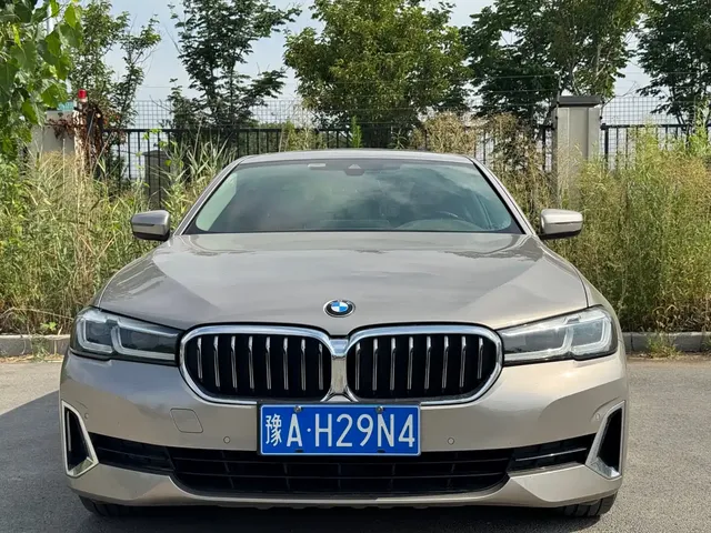 BMW 5 Series 2021 530Li Leading Luxury Package