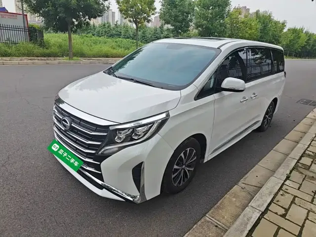 GAC Trumpchi M8 2023 Leading Series 390T Premium Edition