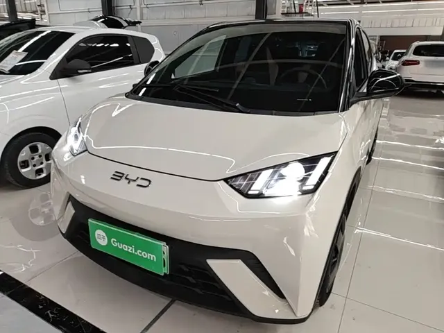BYD Seagull 2024 Glory Edition 305km Vitality Edition