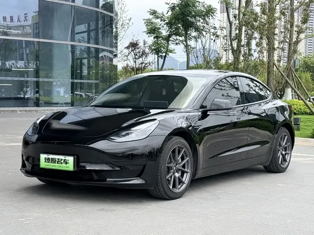 Tesla Model 3 2022 Model Rear-Wheel Drive Version