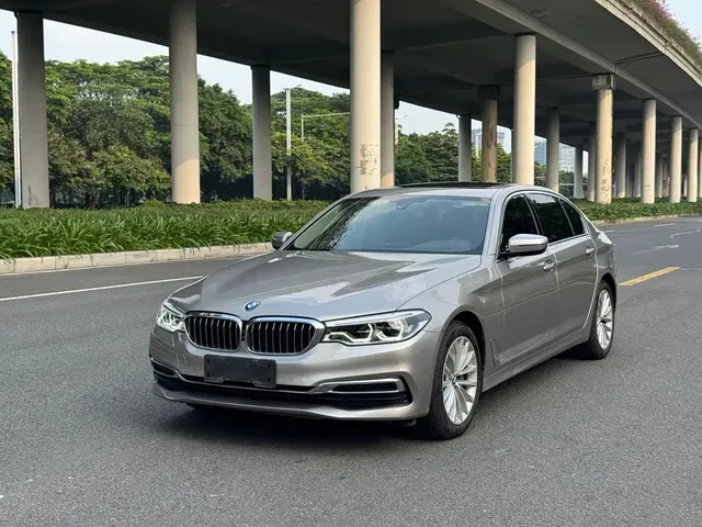 BMW 5 Series 2020 530Li Premium Luxury Package