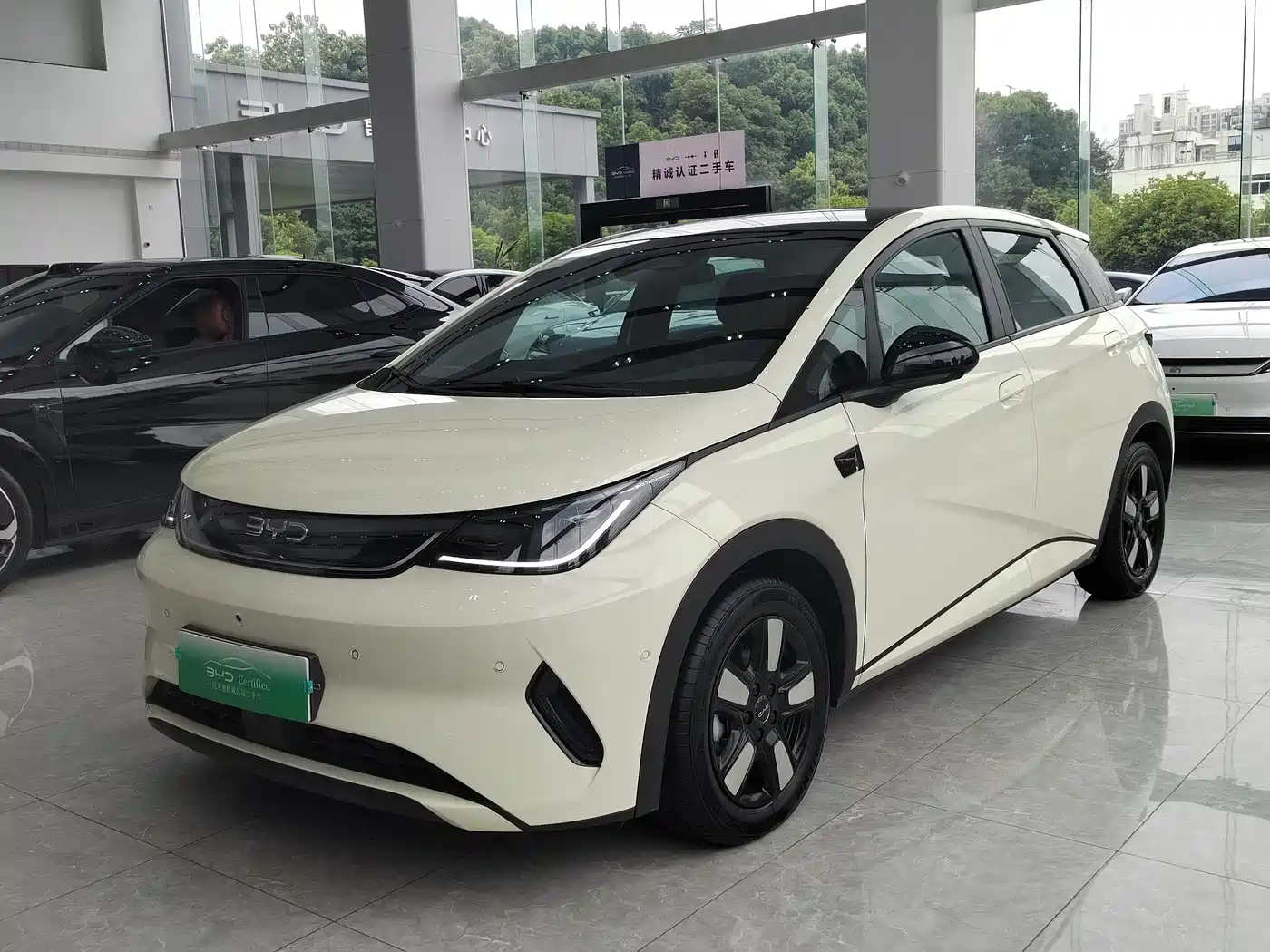BYD Dolphin 2025 420km Freedom Edition