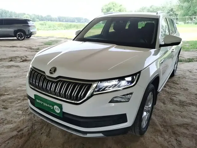 Škoda Kodiaq 2020 TSI330 7-Seater 2WD Luxury Premium Edition