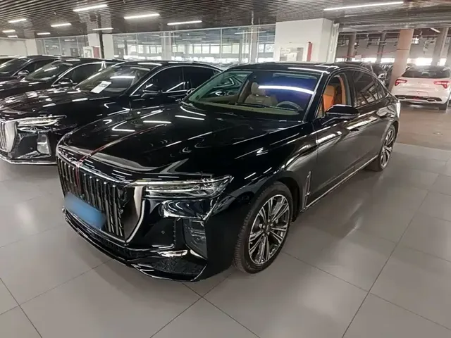 Hongqi H9 2024 2.0T Qi Enjoy Private Fashion Edition