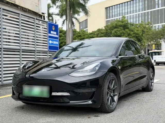 Tesla Model 3 (Import) 2019 Long Range RWD Version