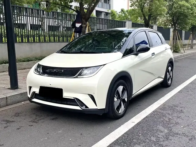 BYD Dolphin 2023 420km Freedom Edition