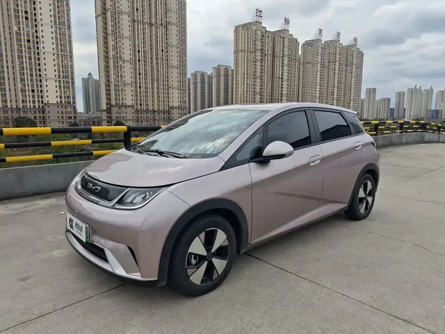 BYD Dolphin 2023 420km Freedom Edition