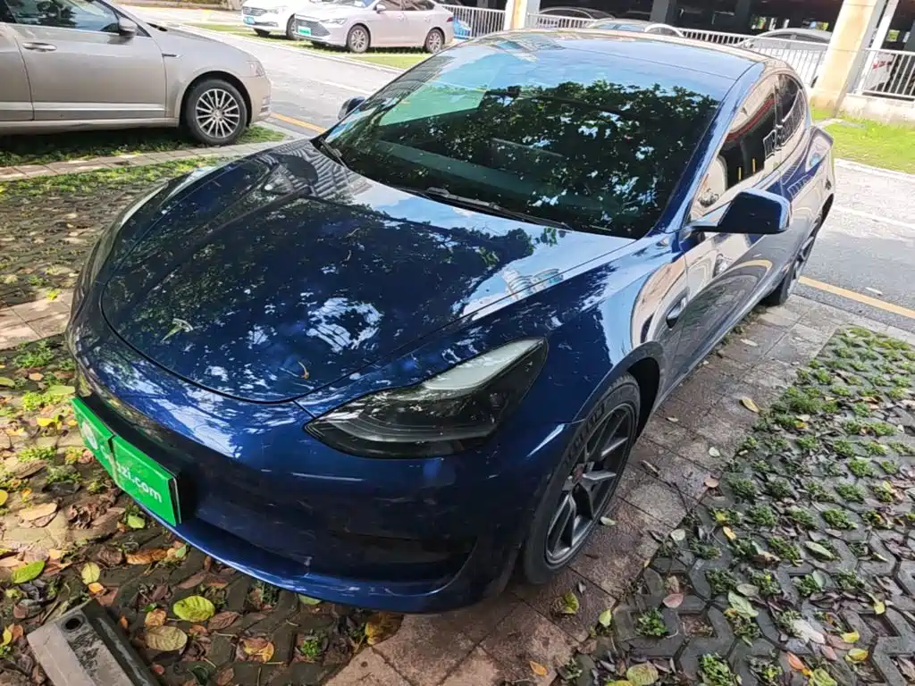 Tesla Model 3 2021 Facelift Standard Range RWD Upgrade 3D1