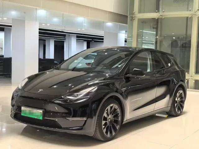 Tesla Model Y 2021 Standard Range Rear-Wheel Drive