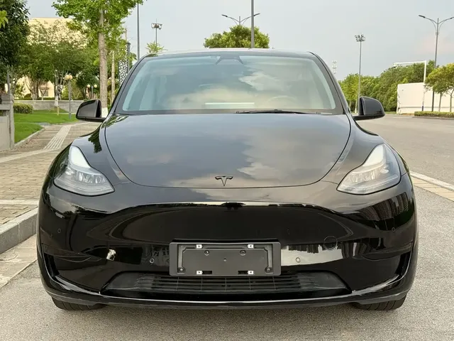 Tesla Model Y 2022 Rear-Wheel Drive Version