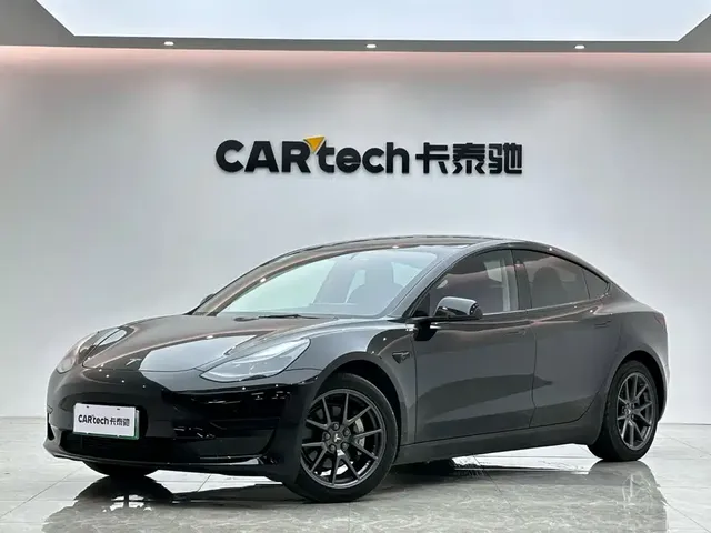 Tesla Model 3 2021 Facelift Standard Range RWD Upgrade 3D1