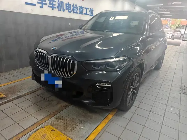 BMW X5 (Import) 2019 xDrive30i M Sport Package