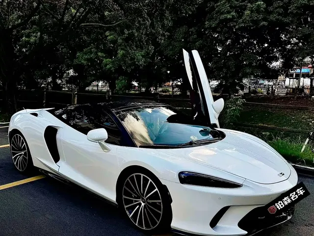 McLaren GT 2023 4.0T Standard Model