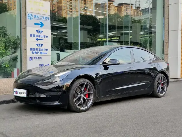 Tesla Model 3 2021 Performance High-Performance All-Wheel Drive 3D6