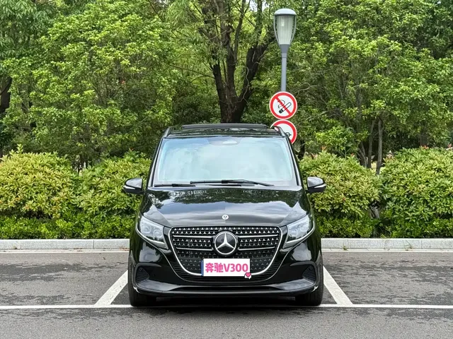 Mercedes-Benz V-Class 2024 V 300 Pilot Edition