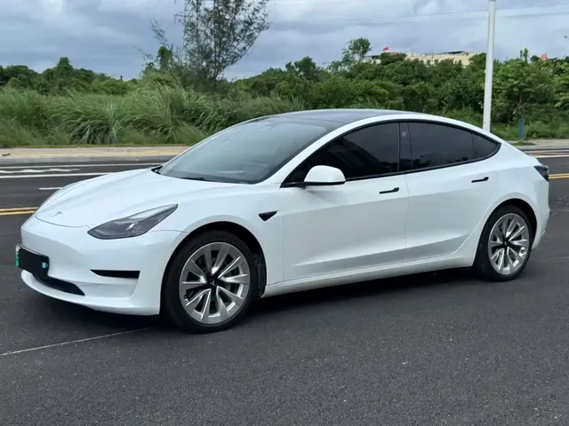 Tesla Model 3 2021 Facelift Standard Range RWD Upgrade 3D1