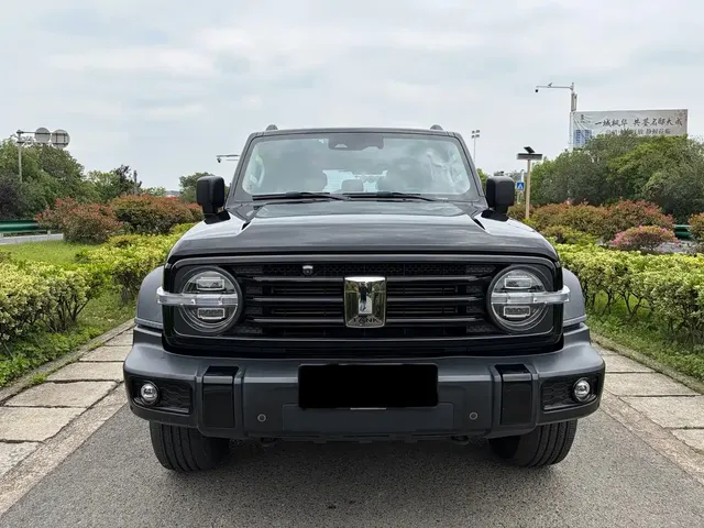 Tank 300 2021 Off-road Version 2.0T Conqueror