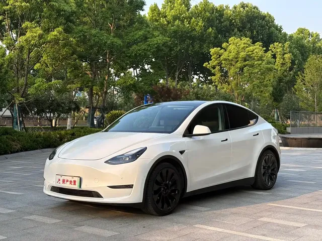 Tesla Model Y 2022 Performance High-Performance All-Wheel Drive Version