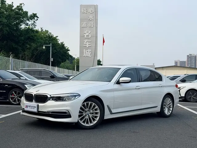 BMW 5 Series 2020 530Li Leading Luxury Package