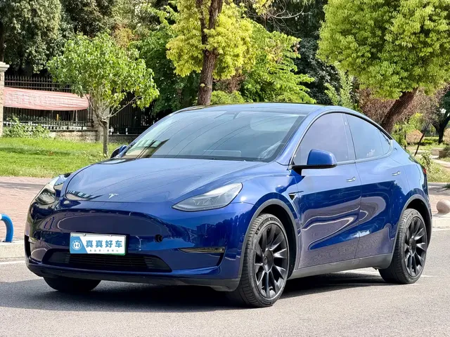 Tesla Model Y 2021 Long Range All-Wheel Drive 3D7