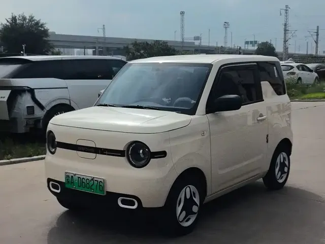 Geely Galaxy Panda 2025 Panda mini 210km Vitality Bear