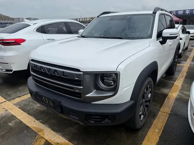 Haval Big Dog 2024 Model 1.5T DCT Labrador Edition