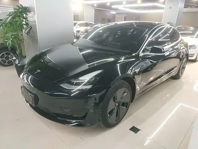 Tesla Model 3 2020 Standard Range Rear-Wheel Drive Upgrade