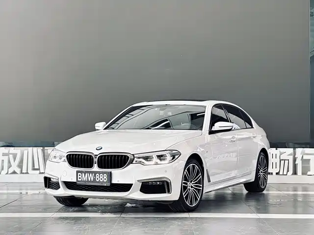 BMW 5 Series 2019 530Li Premium M Sport Package