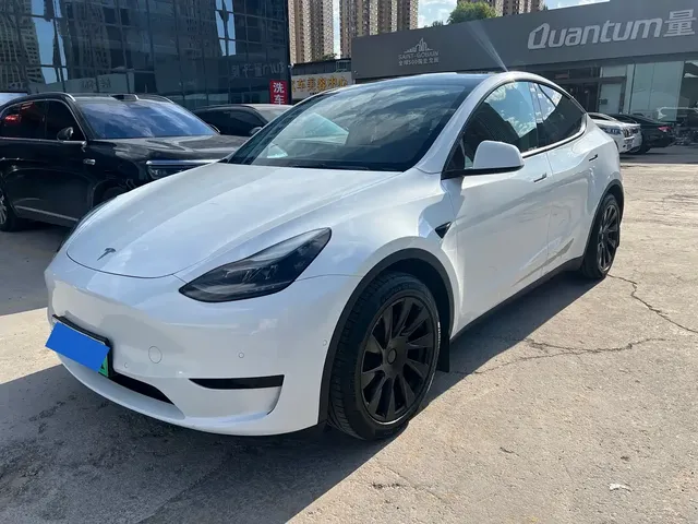 Tesla Model Y 2022 Rear-Wheel Drive Version