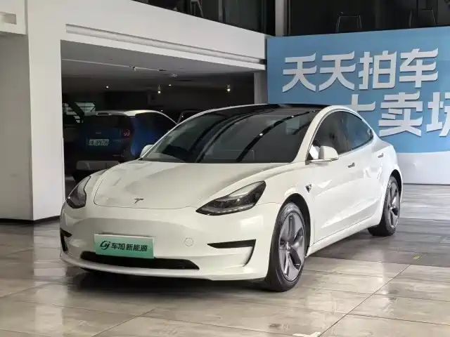 Tesla Model 3 2020 Standard Range Rear-Wheel Drive Upgrade