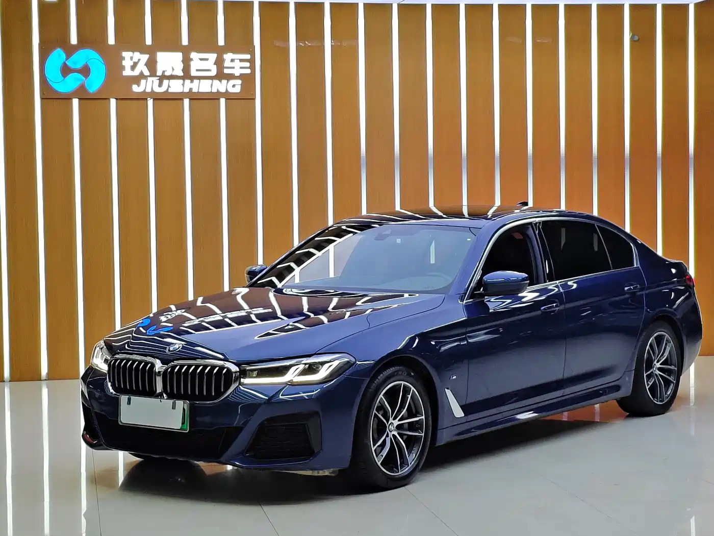 BMW 5 Series New Energy 2021 535Le M Sport Package