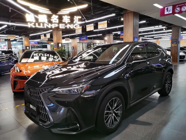 Lexus NX 2023 260 FWD Joy Creation Edition
