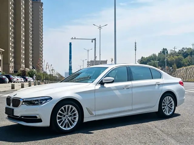 BMW 5 Series 2020 530Li Leading Luxury Package