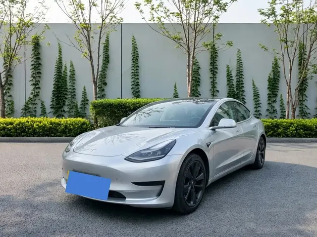 Tesla Model 3 2019 Standard Range Rear-Wheel Drive Upgrade