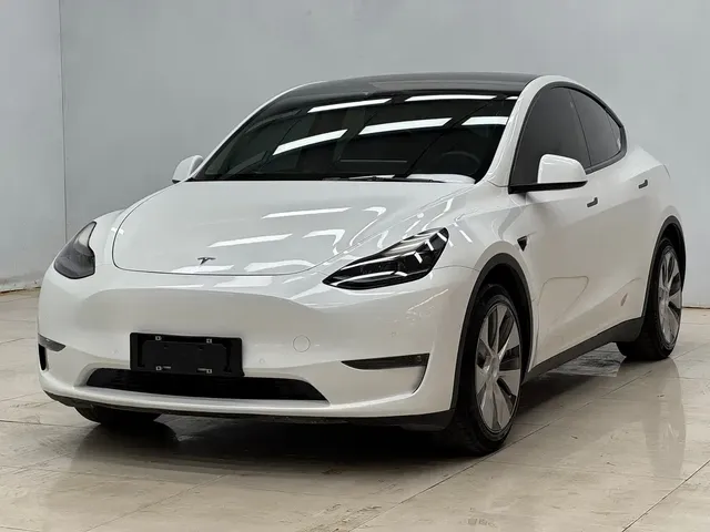 Tesla Model Y 2022 Rear-Wheel Drive Version