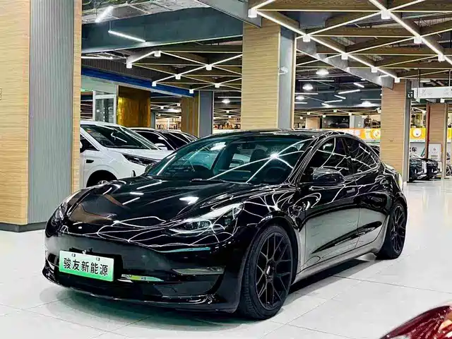 Tesla Model 3 2022 Model Rear-Wheel Drive Version