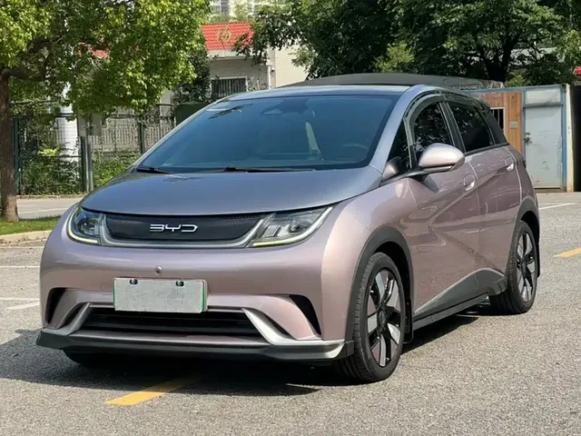 BYD Dolphin 2021 401km Knight Edition