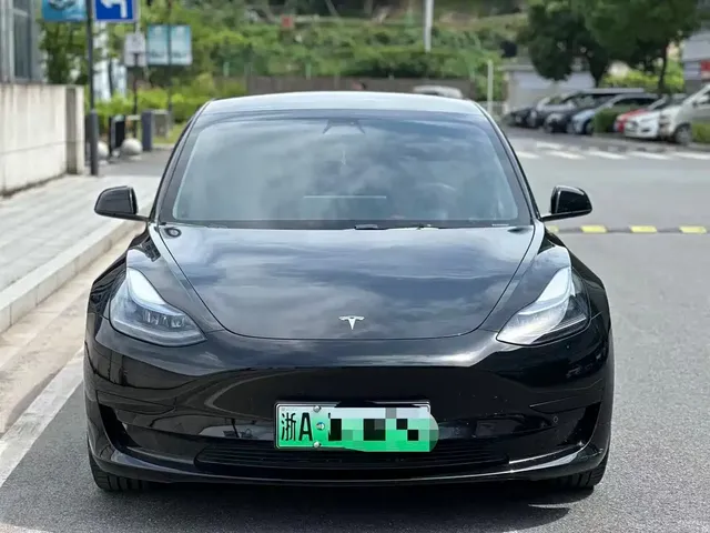 Tesla Model 3 2022 Model Rear-Wheel Drive Version