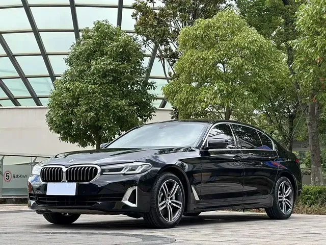 BMW 5 Series 2021 530Li Leading Luxury Package