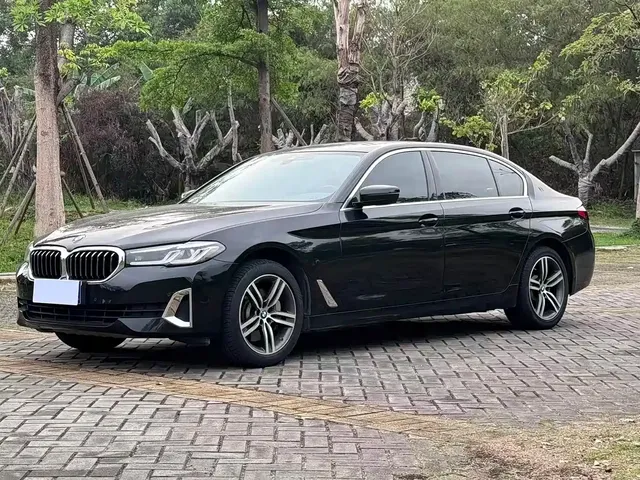 BMW 5 Series 2021 530Li Leading Luxury Package